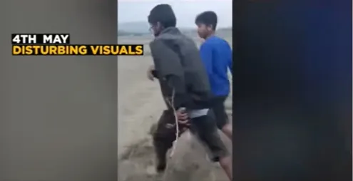 案發於5月，警方6月接獲報案，今天表示逮捕1人。翻攝網路