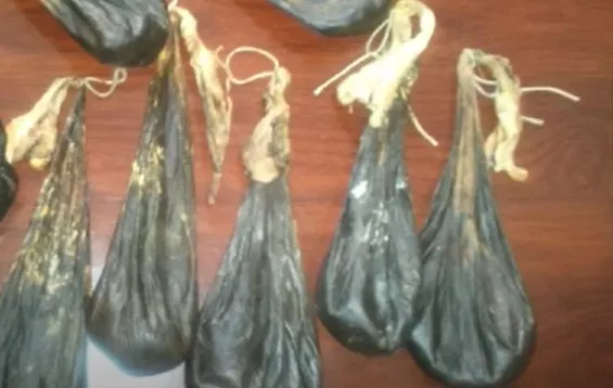 梁軍向客戶兜售的熊膽。翻攝U.S. District Court for the District of Alaska