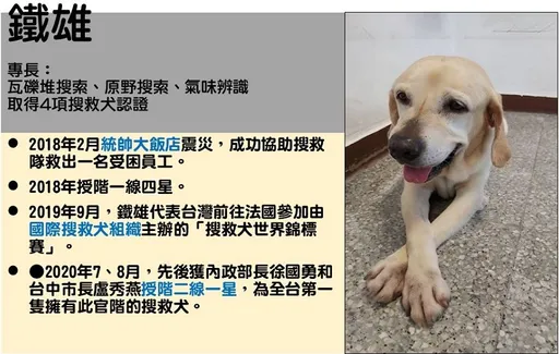 曾参与花莲震灾搜救建功 全台最高阶搜救犬台中「铁雄」光荣退役