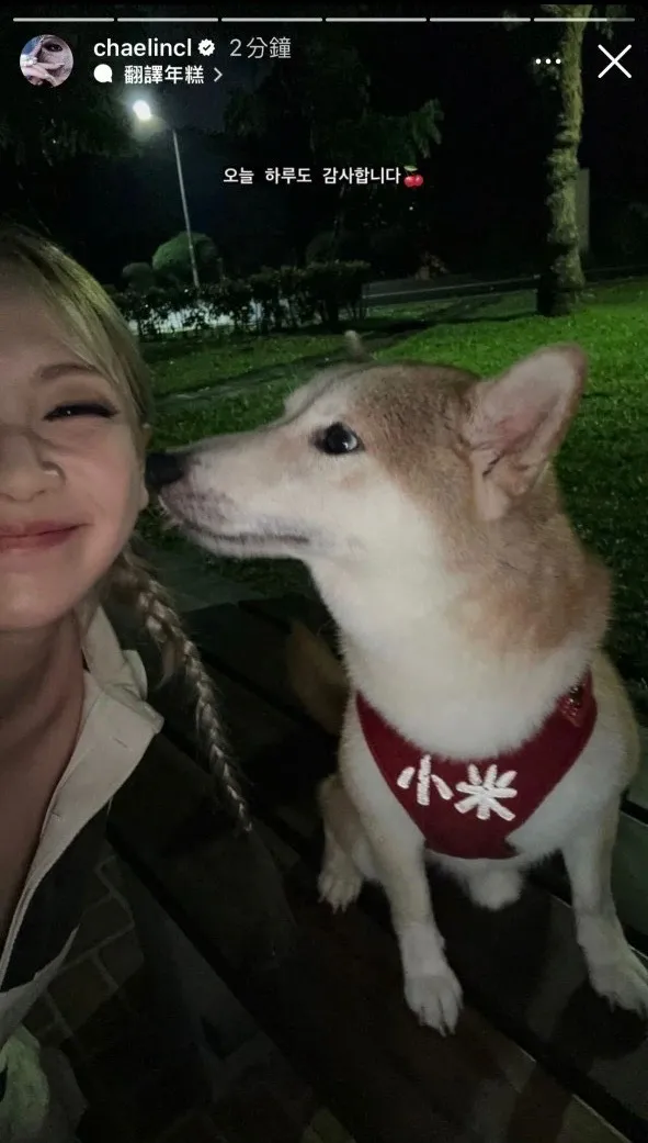 CL來台趴趴走遇到柴犬，作勢讓牠親吻臉頰，羨煞粉絲。翻攝CL IG