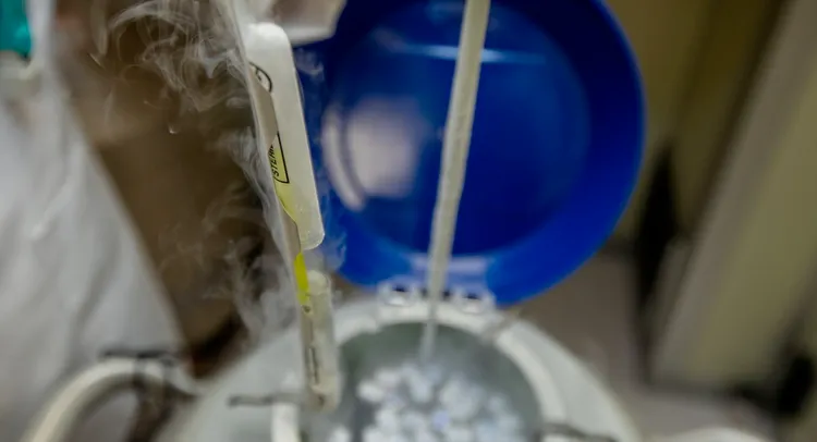 醫師建議最好40歲前凍卵。示意圖。翻攝國泰醫院網站