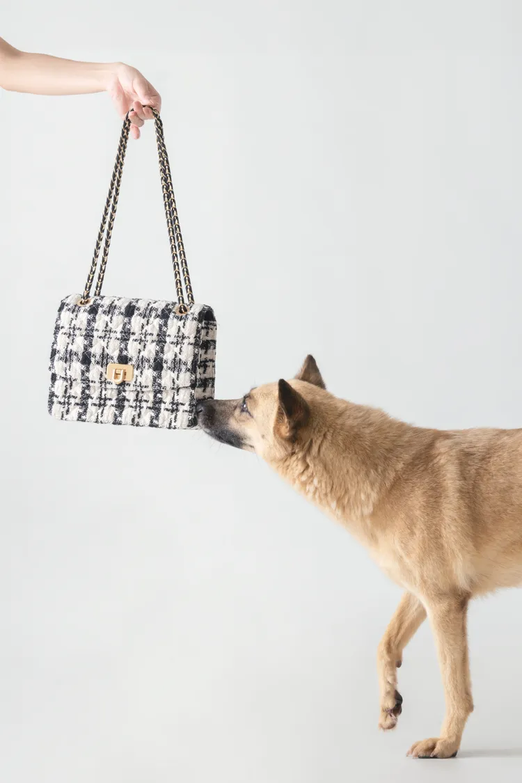 Cressida毛呢鍊帶肩背包，2490元。品牌提供