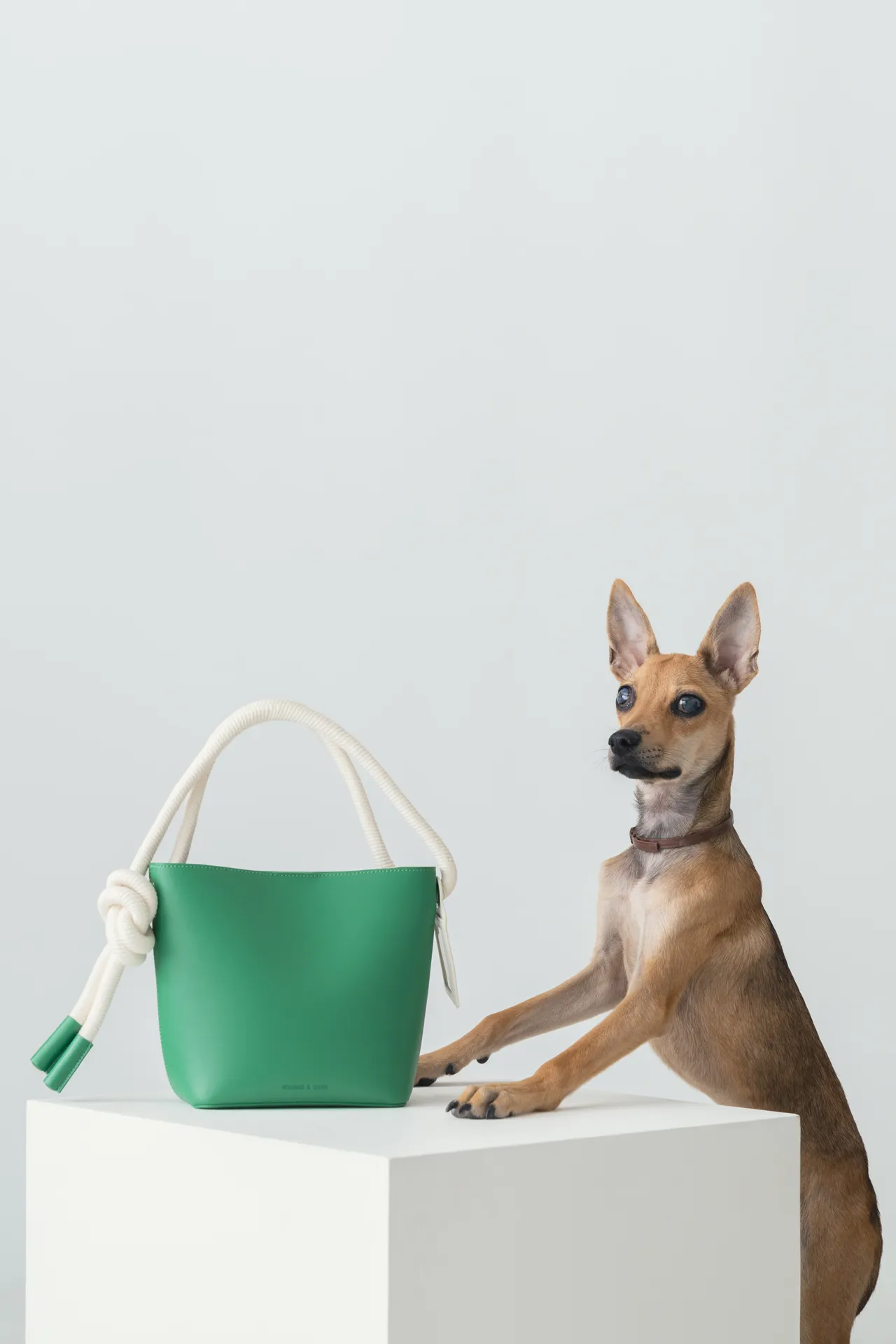 Gwiana繩索水桶包，圖片中的小菠蘿其實是全盲狗狗，但牠聽得懂指令，也會自己到尿布墊如廁，2390元。品牌提供