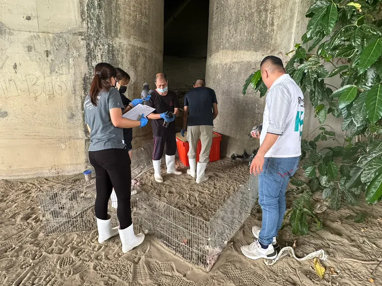 動保處人員現場清點。江和樹提供