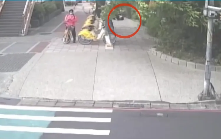 板橋婦人遭落下樹枝打中，當場倒地。翻攝畫面