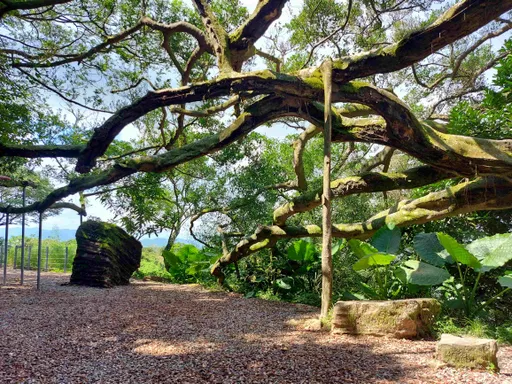 微笑山線、小紅屋及古蹟吊橋營造出色 新北觀光局奪國家卓越建設3大獎