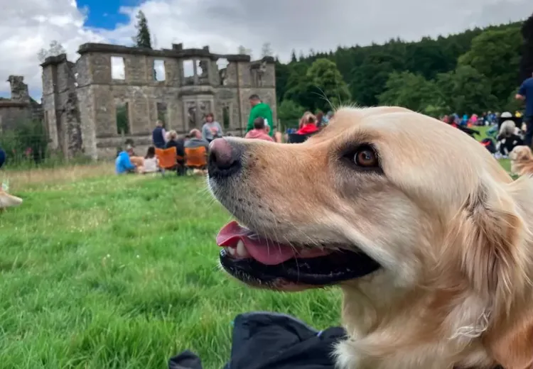 翻攝英國廣播公司網站