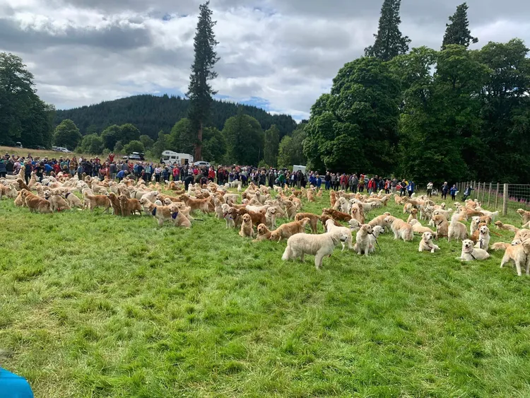 翻攝Sharon Covington臉書專頁