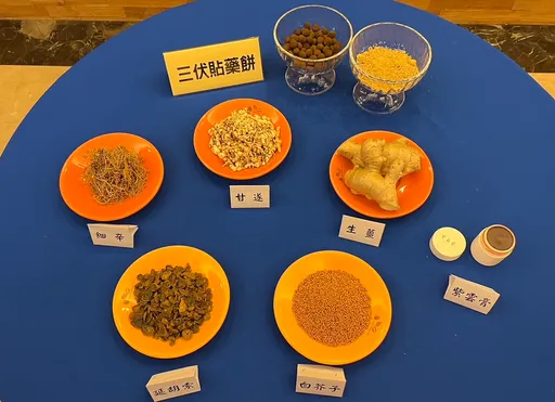 氣喘人口逾5成! 中醫推三伏貼「夏病冬治」