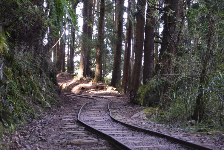 特富野古道。農委會提供
