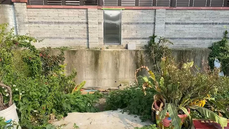 李男將陳妻推入排水溝後掐死陳妻。翻攝畫面