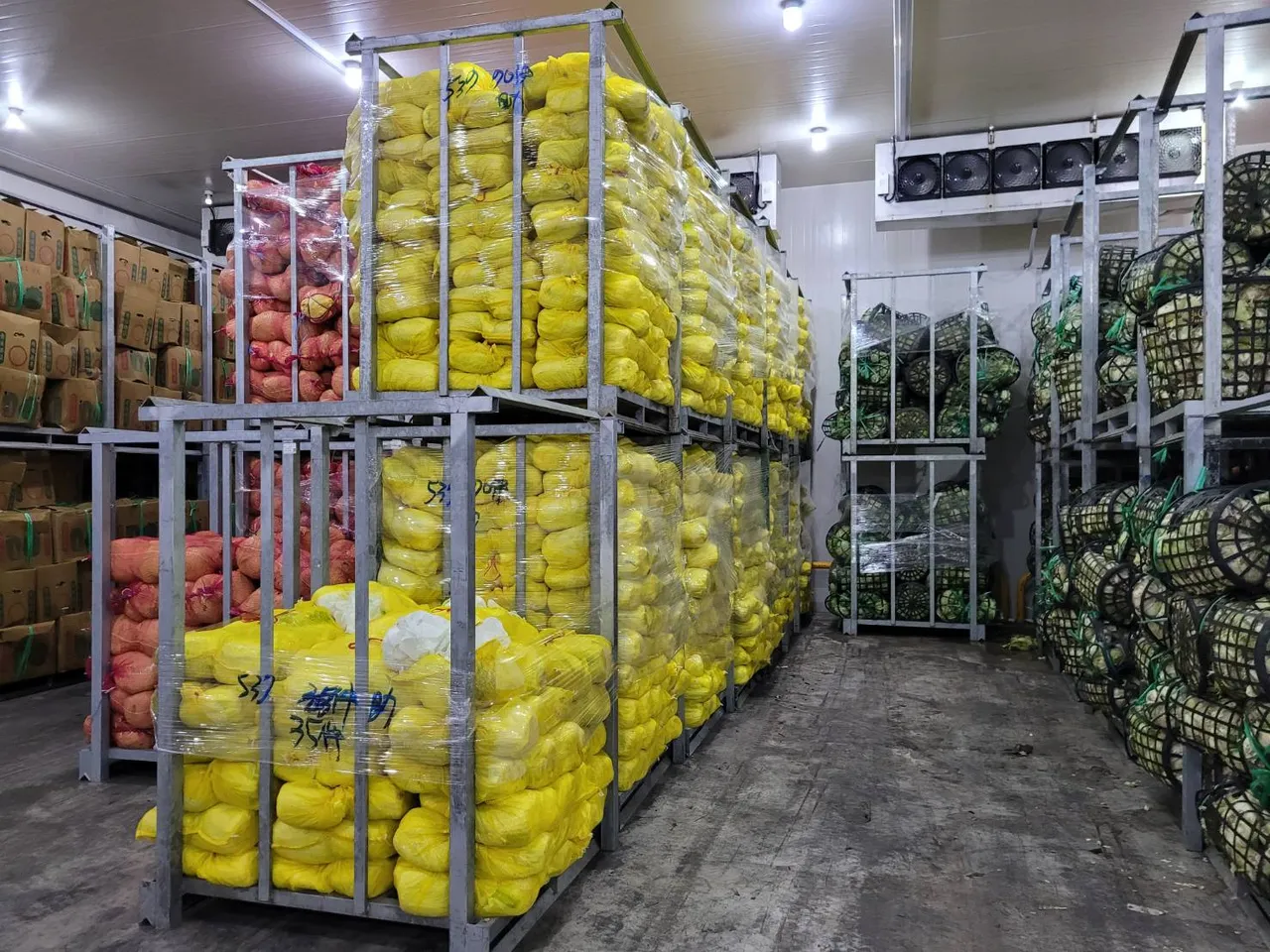 桃園市必要時釋出滾動式倉儲冷藏蔬菜以穩定市場價格。桃園市府提供