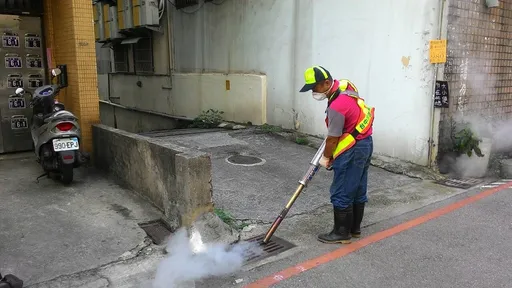 台中疑出現首例本土登革熱 20歲沙鹿租屋客快篩陽!市府全力圍堵