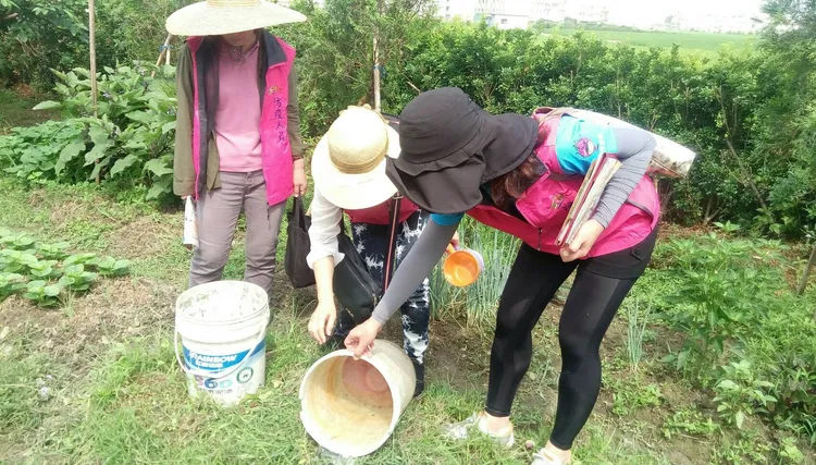 市府加強清除病媒蚊孳生源。市府提供