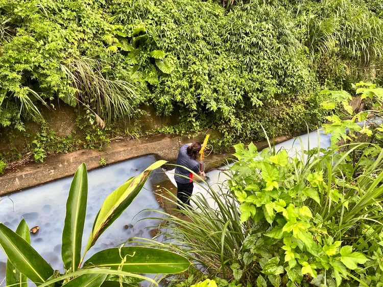 河川被染成乳白色。桃園市環保局提供