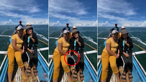 最速海賊!牠1秒內搶走手機遁入水中 被害者一臉懵