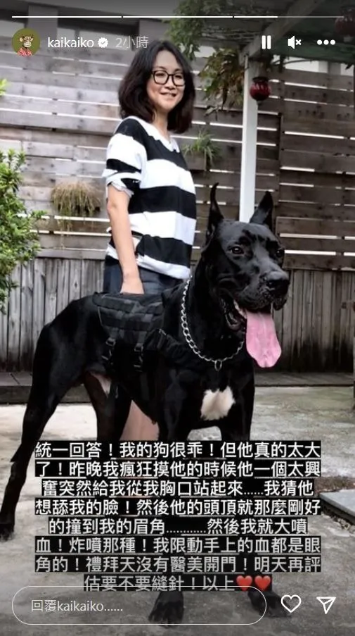 闖禍的柯震東愛犬。翻攝柯震東IG