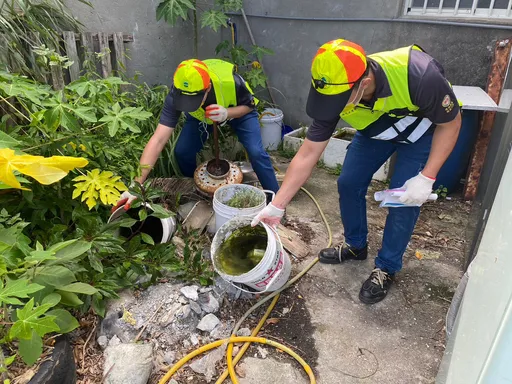防堵登革熱!桃園市祭出獎勵金 醫事人員通報領1萬、民眾通報獲2千