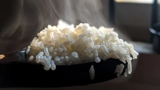 白飯之亂|中國人譏台灣窮到飯不夠 「之前為吃壽司改名就很荒謬」