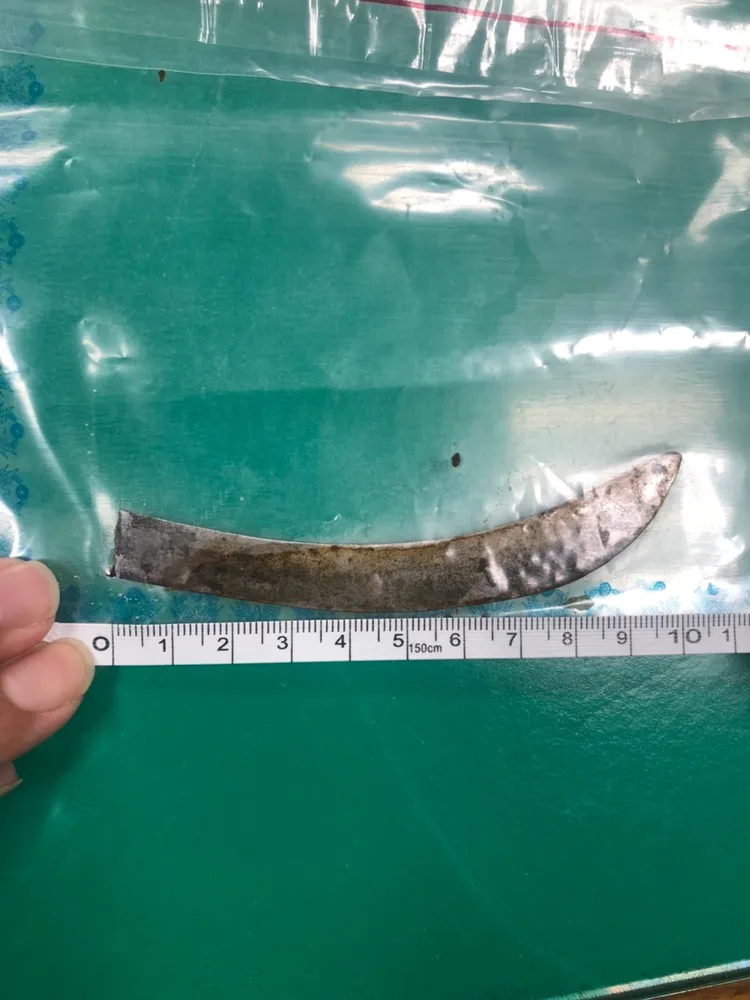 採收竹筍用的鐮刀。翻攝畫面