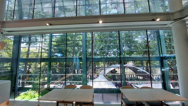 光室咖啡以「觀察」及「穿透」為主軸，藉由身處座位區人的視角來省思動物們的心境。凃建豐攝