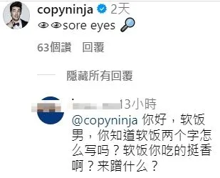 翻攝自蔡依林IG