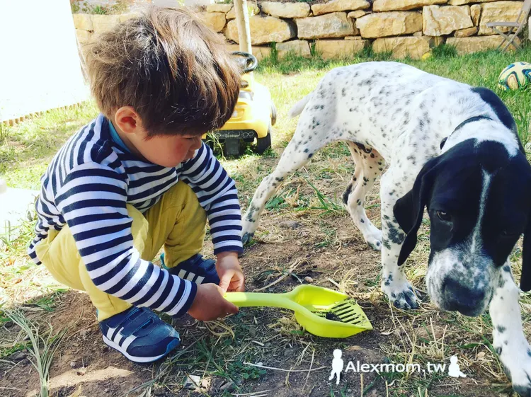 翻攝自王君萍臉書