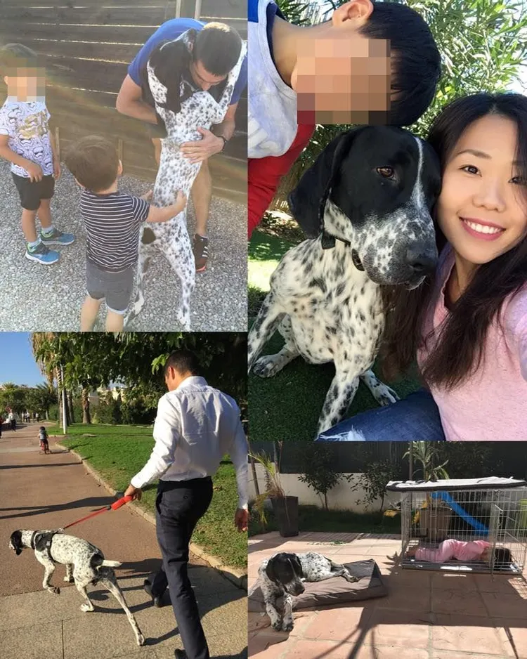 王君萍當時PO出賣坤生前全家人互動照片悼念愛犬。翻攝自王君萍臉書