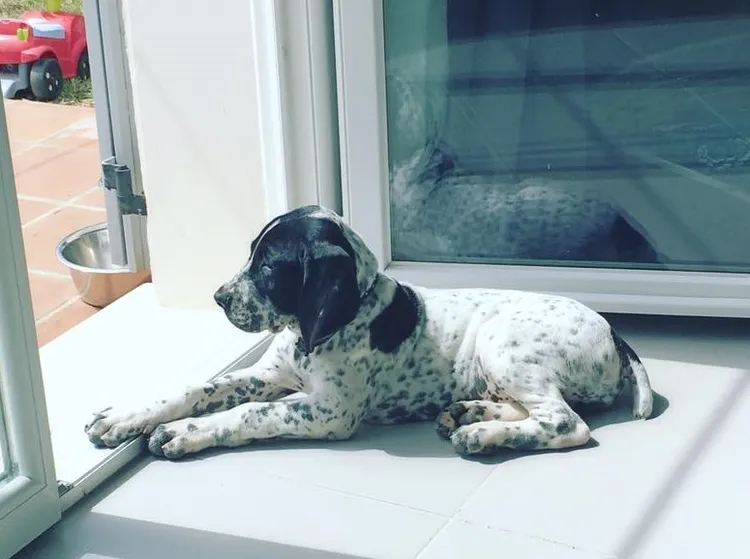 翻攝自王君萍臉書