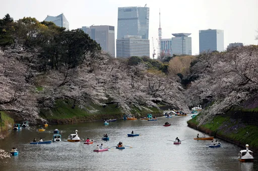 日本暑假國內旅遊回到疫前盛況　出國偏愛台、韓原因是「這個」