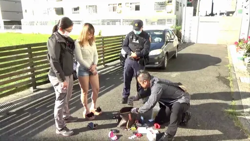 貴圈真亂!毒鴛鴦落網男全扛放愛自由 她竟搭上新歡重操舊業「害8人被抓」