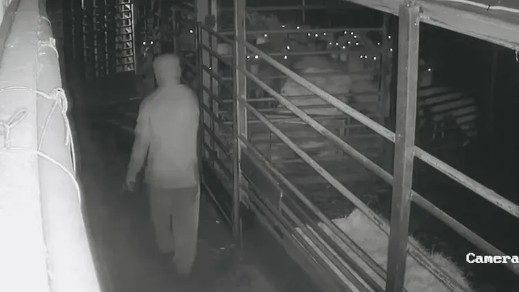 男子闖入鹿舍。翻攝畫面