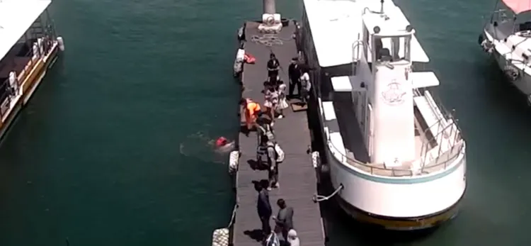 孩童不慎落水，安檢人員立即跳入海中救起。翻攝畫面