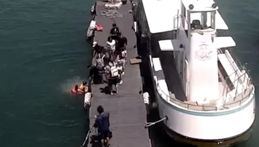 小琉球觀賞船10歲童摔落海 海巡跳海救援!影片曝光