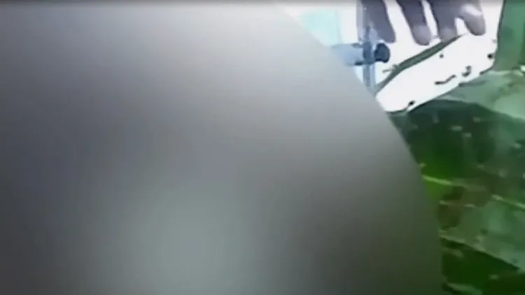 男子讓螞蟻攻擊他的陰莖，試圖藉此讓陰莖增大。翻攝自《The Thaiger》