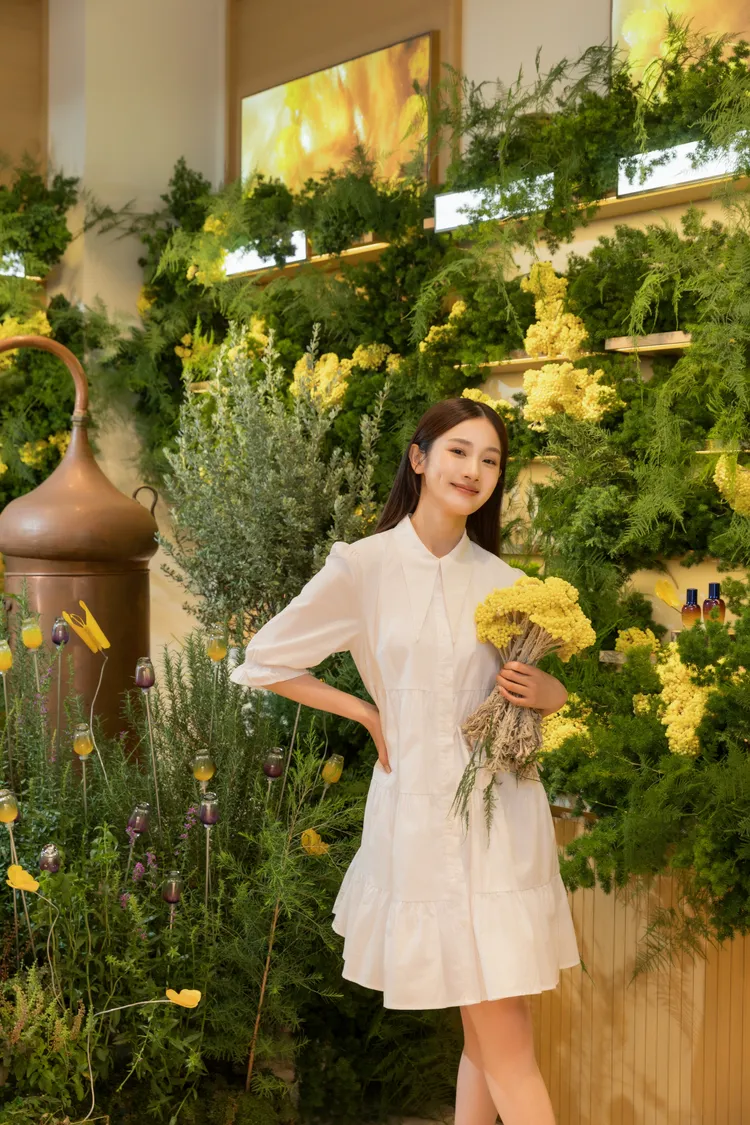 溫度物所運用植栽將門市打造為金黃蠟菊花園。品牌提供