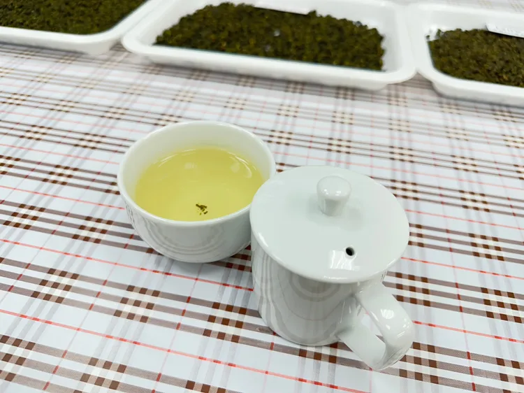 比賽茶葉品種以產自梨山地區的春季青心烏龍茶為主。市府提供