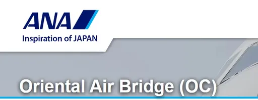日客機飛行途中「艙內瀰漫白煙」　緊急降落