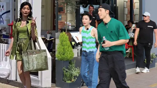 賈靜雯現身匈牙利敘舊趙又廷 許光漢帶路《中餐廳》打工