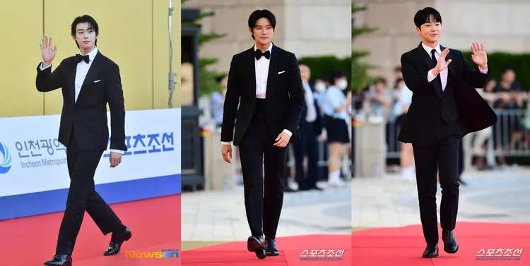 車銀優（左圖起）、文相敏、裴仁爀提名男新人。翻攝Newsen、朝鮮體育