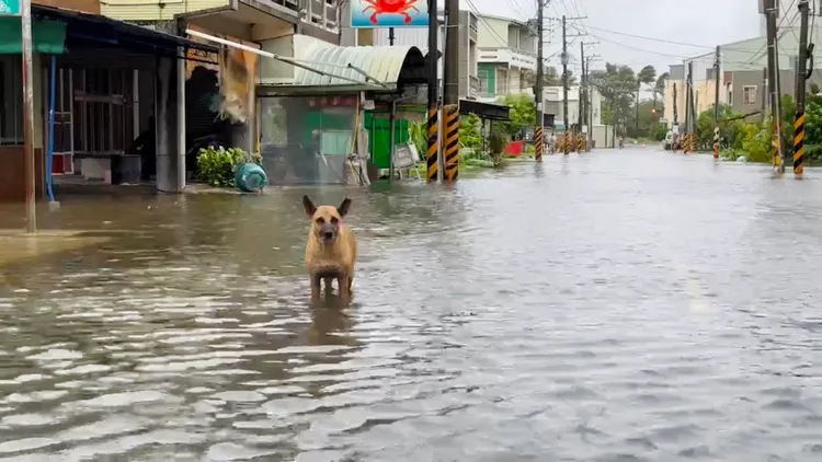 安南區城西街一帶淹水達30公分。王志弘攝