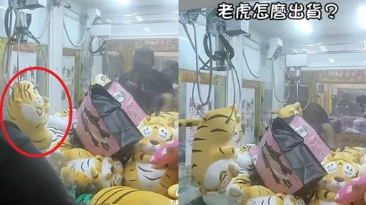 夾娃娃神人露一手　老虎娃娃三次輕鬆出貨