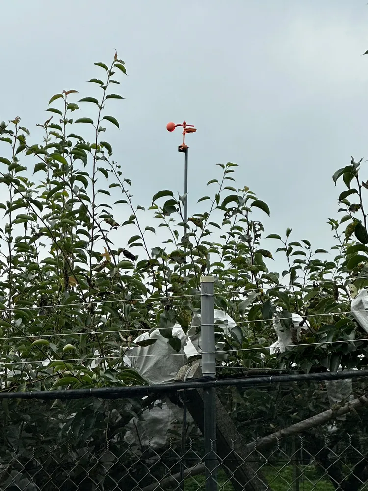 林務局補助農民架設電圍網防猴。翻攝畫面