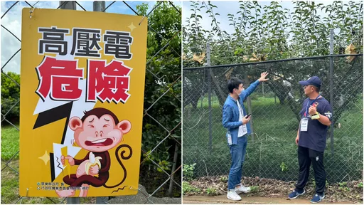 電圍網防治獼猴危害成效佳 林務局最高補助資材費12萬元