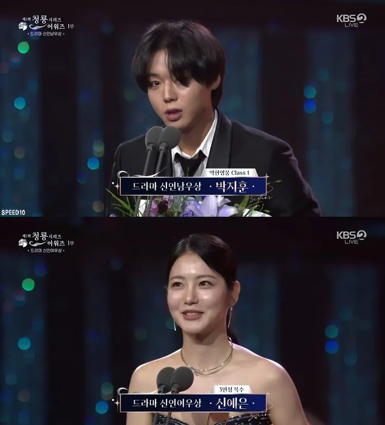 《弱美男英雄Class 1朴志訓（上圖）、《第3人稱復仇》辛叡恩拿下男女新人獎。翻攝KBS