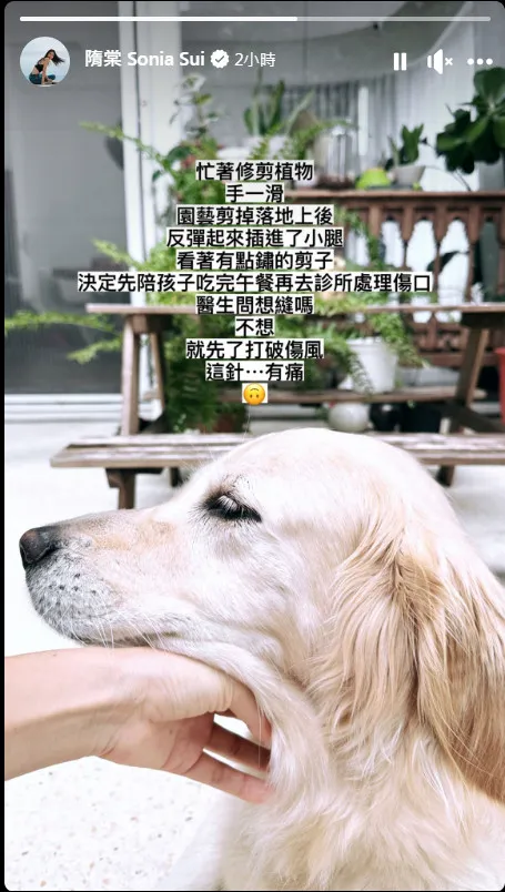 藝人隋棠暑假期間全家人到夏威夷玩一個月，沒想到一回台灣就遇到血光之災！翻攝《隋棠 Sonia Sui》粉絲頁