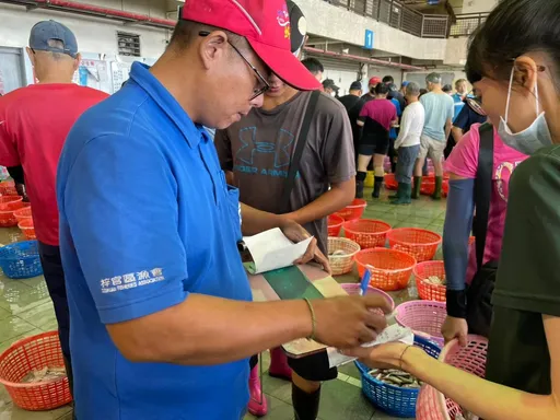 青年體驗「高雄版築地市場」　直擊蚵仔寮漁獲拍賣盛況