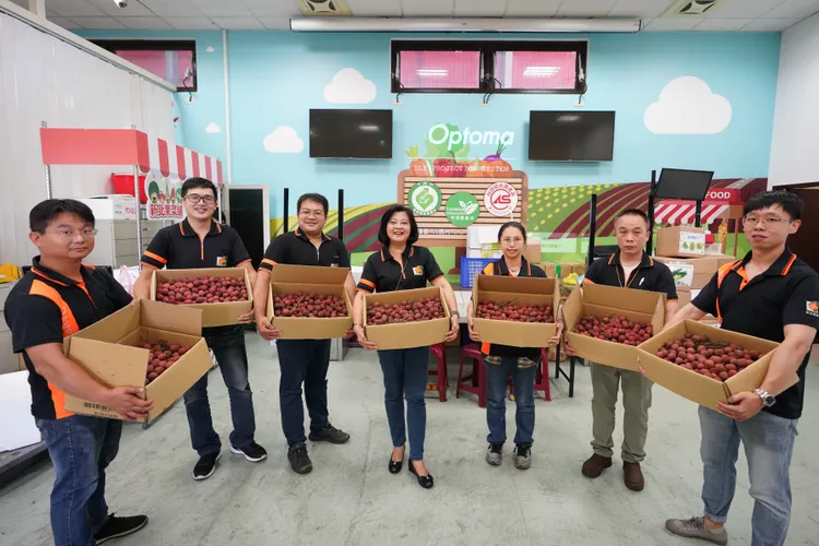 新北果菜公司權力促銷汁多味甜的黑葉荔枝。果菜公司提供