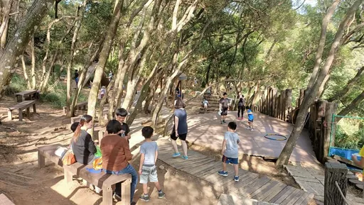 入夏後熱到爆 老翁步道上熱暈險喪命