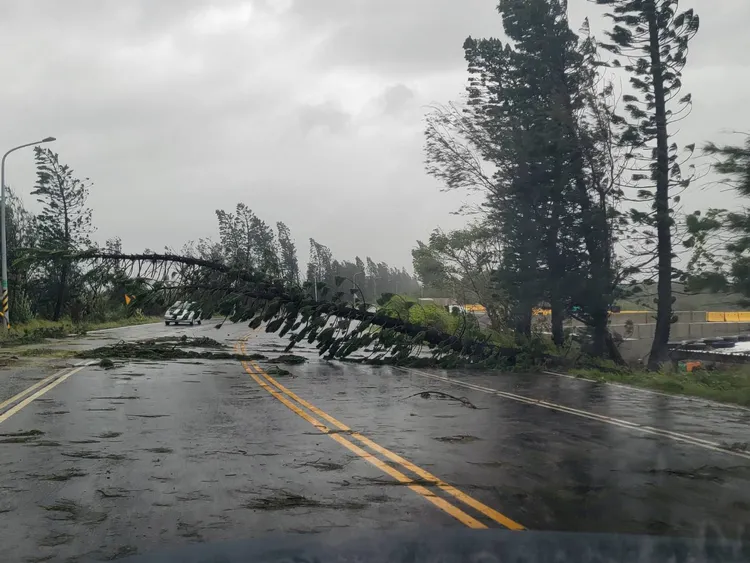 澎湖市區到處都是被強風吹落的路樹、市招。翻攝「澎湖災害回報平台」